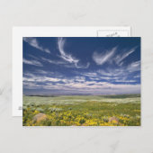 アメリカ、オレゴン、スティーンズマウンテン。春嚢 ポストカード (正面/裏面)