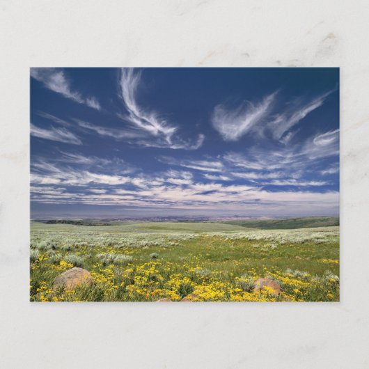 アメリカ、オレゴン、スティーンズマウンテン。春嚢 ポストカード (正面)