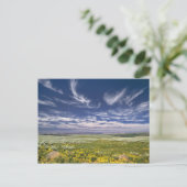 アメリカ、オレゴン、スティーンズマウンテン。春嚢 ポストカード (スタンド正面)