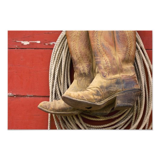 アメリカ、オレゴン、セネカ、ポンデローザランチ。クローズアップ フォトプリント            (正面)