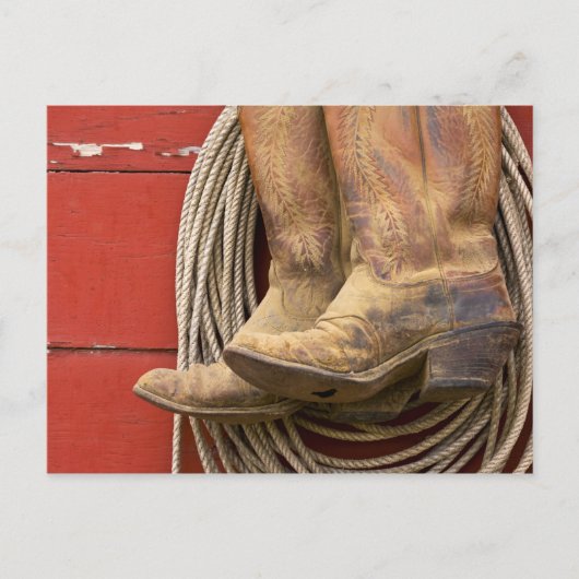 アメリカ、オレゴン、セネカ、ポンデローザランチ。クローズアップ ポストカード (正面)