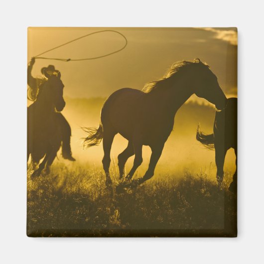 アメリカ、オレゴン、セネカ、ポンデローザランチ。 マグネット (正面)