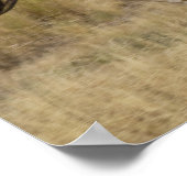 アメリカ、オレゴン、セネカ、ポンデローザランチ。馬 ポスター (角)