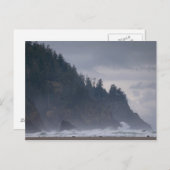 アメリカ、オレゴン、ティラモク郡、海岸の森 ポストカード (正面/裏面)