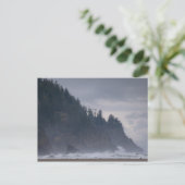 アメリカ、オレゴン、ティラモク郡、海岸の森 ポストカード (スタンド正面)