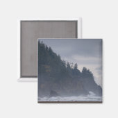 アメリカ、オレゴン、ティラモク郡、海岸の森 マグネット (正面/裏面)