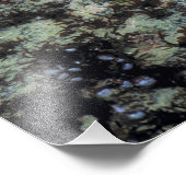 アメリカ、オレゴン、ネプチャーSP。宝石の色をした海 フォトプリント (角)