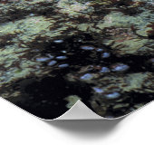 アメリカ、オレゴン、ネプチャーSP。宝石の色をした海 ポスター (角)