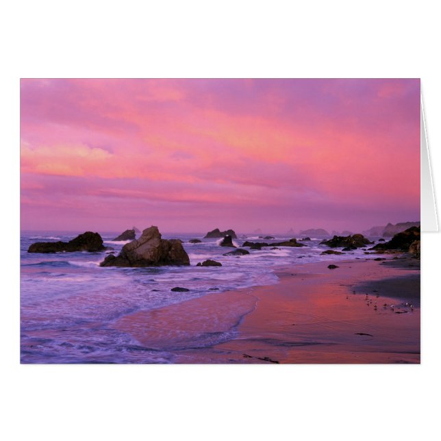 アメリカ、オレゴン、ハリス州ビーチ、ブルックシング。 (正面横)