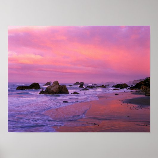 アメリカ、オレゴン、ハリス州ビーチ、ブルックシング。 ポスター (正面)