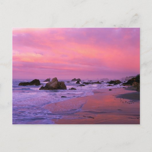 アメリカ、オレゴン、ハリス州ビーチ、ブルックシング。 ポストカード (正面)