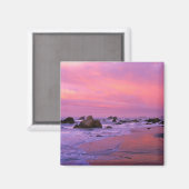 アメリカ、オレゴン、ハリス州ビーチ、ブルックシング。 マグネット (正面/裏面)