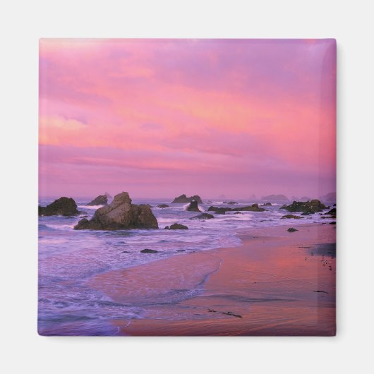 アメリカ、オレゴン、ハリス州ビーチ、ブルックシング。 マグネット (正面)