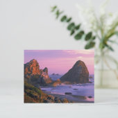 アメリカ、オレゴン、ハリス州ビーチ、ブルックシング。2 ポストカード (スタンド正面)