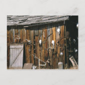 アメリカ、オレゴン、ハーニー郡。古い非常に安定 ポストカード (正面)