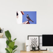 アメリカ、オレゴン。バイオレットグリーンスワロータキシネタ ポスター (ホームオフィス)