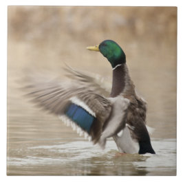 アメリカ、オレゴン、バスケット・スロウ国立野生動物 タイル