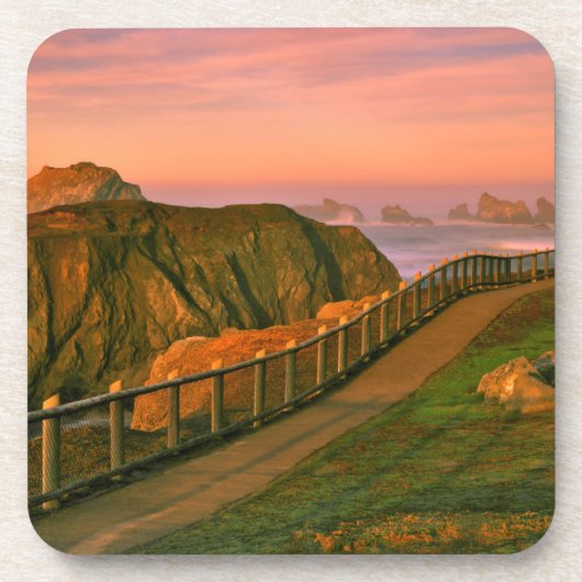 アメリカ、オレゴン、バンドン。道から見た岩 コースター (正面)