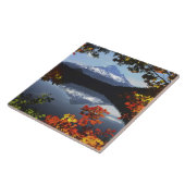 アメリカ、オレゴン、フッド山ナショナルフォレスト。 タイル (側面)