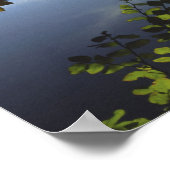 アメリカ、オレゴン、フッド山ナショナルフォレスト。 ポスター (角)