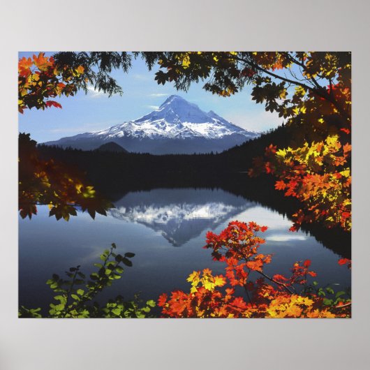 アメリカ、オレゴン、フッド山ナショナルフォレスト。 ポスター (正面)