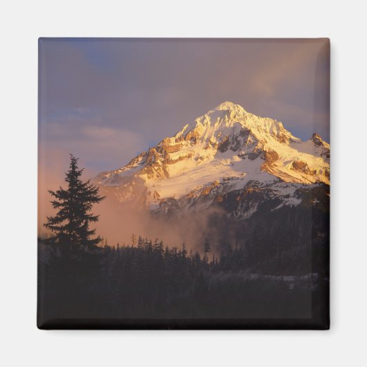 アメリカ、オレゴン、フッド山ナショナルフォレスト。転がの マグネット (正面)