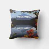 アメリカ、オレゴン、フード山国有林 クッション (裏面)