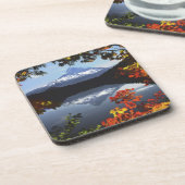 アメリカ、オレゴン、フード山国有林 コースター (左側)