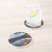 アメリカ、オレゴン、フード山国有林 コースター (側面)