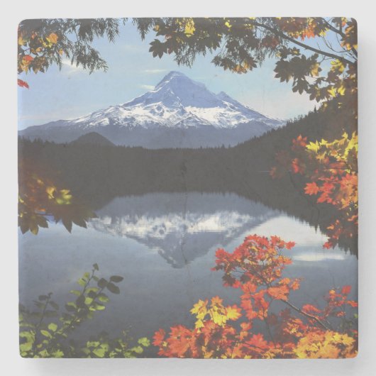 アメリカ、オレゴン、フード山国有林 ストーンコースター (正面)