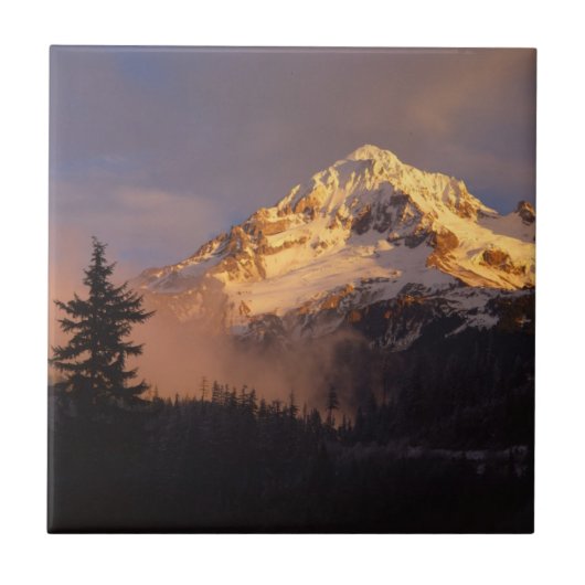 アメリカ、オレゴン、フード山国有林 タイル (正面)