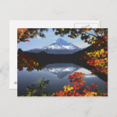 アメリカ、オレゴン、フード山国有林 ポストカード (正面/裏面)