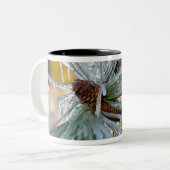 アメリカ、オレゴン、ベンド。ポンデロサマツの針は ツートーンマグカップ (正面左)