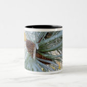 アメリカ、オレゴン、ベンド。ポンデロサマツの針は ツートーンマグカップ (中央)