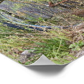 アメリカ、オレゴン、ベンド。老朽化した古い自転車 ポスター (角)