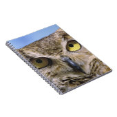 アメリカ、オレゴン、ベンド。角素晴らしのフクロウは一般的 ノートブック (右側)