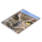 アメリカ、オレゴン、ベンド。角素晴らしのフクロウは一般的 ノートブック (左側)