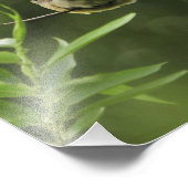 アメリカ、オレゴン、ポートランド。スギの雄ワクウィング フォトプリント            (角)