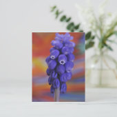 アメリカ、オレゴン、ポートランド。ブルーグレープのクローズアップ ポストカード (スタンド正面)