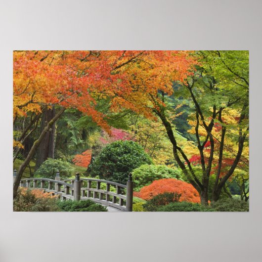 アメリカ、オレゴン、ポートランド。木造の橋と楓 ポスター (正面)
