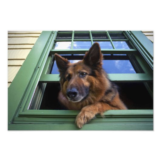 アメリカ、オレゴン、ポートランド。長い髪をグイッと結ぶ フォトプリント            (正面)