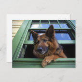 アメリカ、オレゴン、ポートランド。長い髪をグイッと結ぶ ポストカード (正面/裏面)