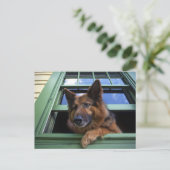 アメリカ、オレゴン、ポートランド。長い髪をグイッと結ぶ ポストカード (スタンド正面)