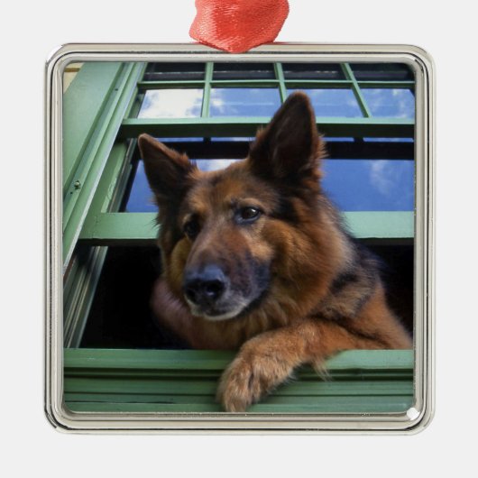 アメリカ、オレゴン、ポートランド。長い髪をグイッと結ぶ メタルオーナメント (正面)