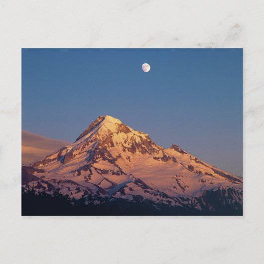 アメリカ、オレゴン、マウントフッド。日没がアルペングローを作成 ポストカード (正面)