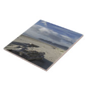 アメリカ、オレゴン、砂丘、海、パシフィックシティ タイル (側面)