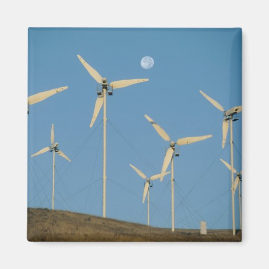アメリカ、カリフォルニア州、アルタモントパス、風力発電機 マグネット (正面)