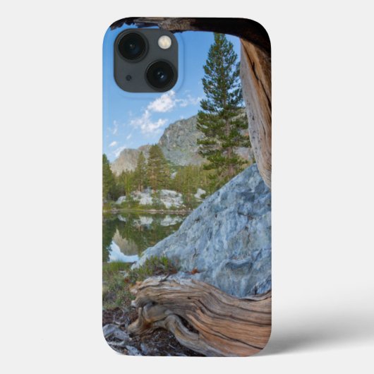アメリカ カリフォルニア州 イニョー国有林  古い松 Case-Mate iPhoneケース (裏面)