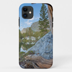 アメリカ、カリフォルニア州、イニョー国有林。古い松 iPhone 11 ケース