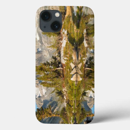 アメリカ, カリフォルニア州, イニョー国有林 13 Case-Mate iPhoneケース (裏面)